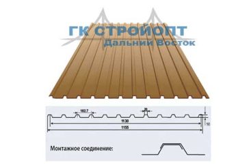 ПРОФНАСТИЛ С10