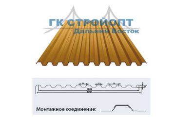 ПРОФНАСТИЛ С21